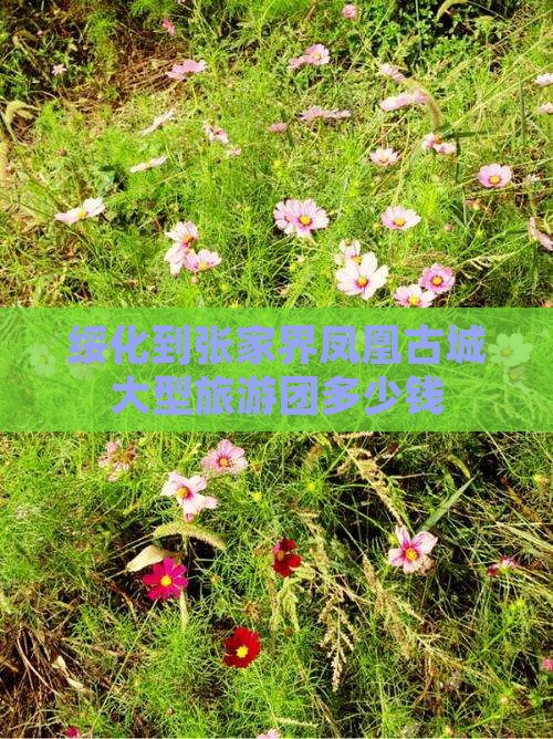 绥化到张家界凤凰古城大型旅游团