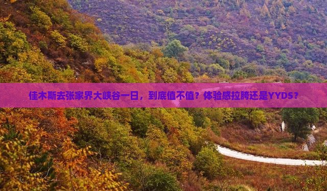 佳木斯去张家界大峡谷一日