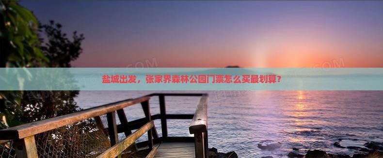 盐城到张家界森林公园门票