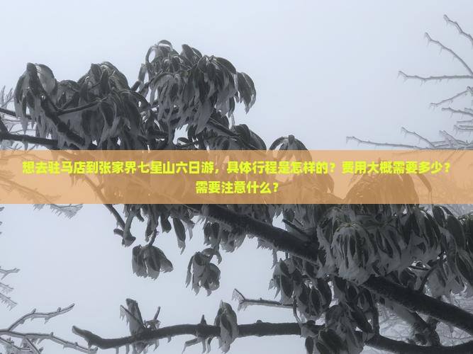 驻马店去张家界七星山六日游