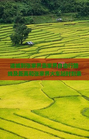 诸城到张家界袁家界自由行