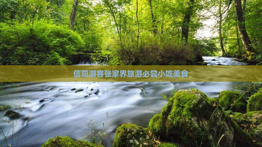 信阳去张家界旅游小吃