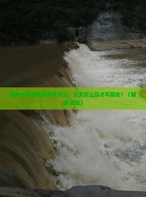 重庆去张家界天子山五日游