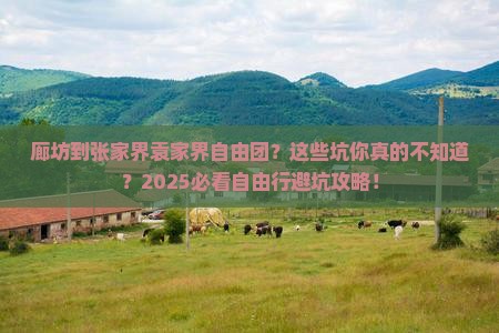 廊坊到张家界袁家界自由团