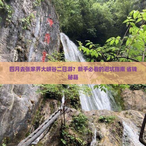 四月去张家界大峡谷二日游