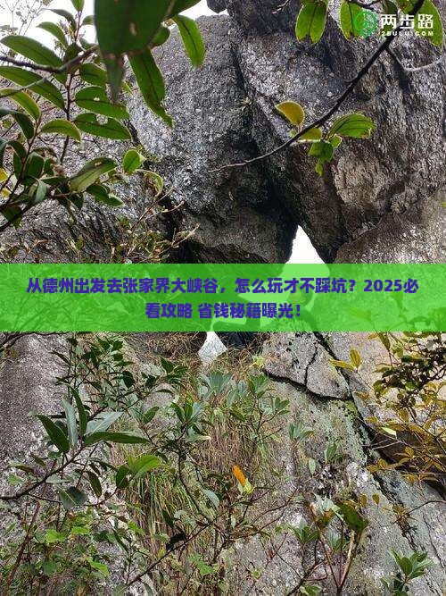 德州去张家界大峡谷哪里玩