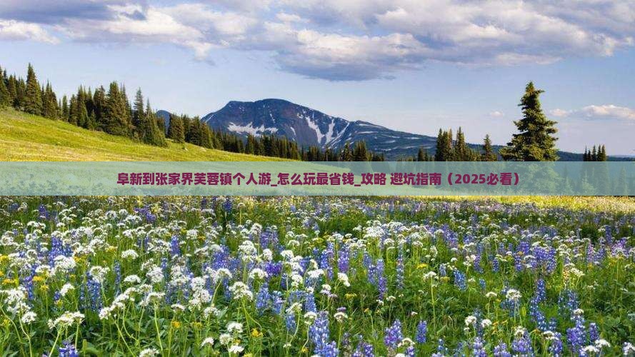 阜新到张家界芙蓉镇个人游