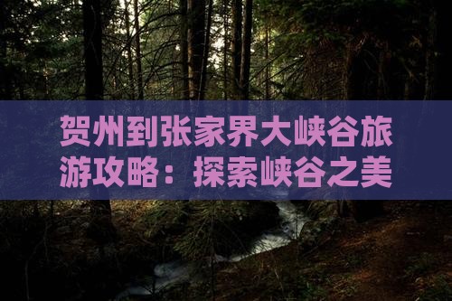贺州到张家界大峡谷景点