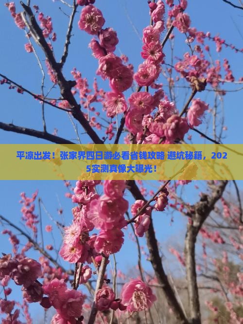 平凉到张家界四日游