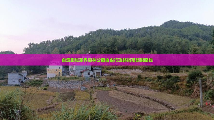 自贡到张家界森林公园自由行