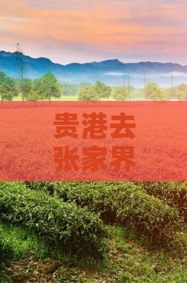 贵港去张家界芙蓉镇大型旅游团 贵港去张家界芙蓉镇大型旅游团