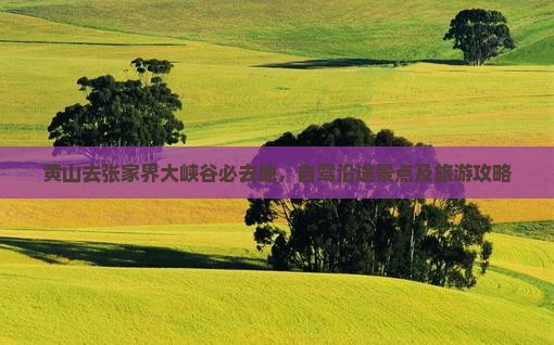 黄山去张家界大峡谷必去地