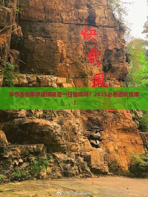 毕节去张家界玻璃栈道一日