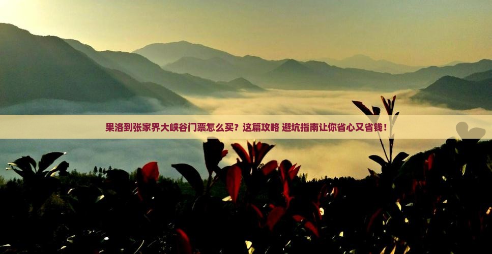 果洛到张家界大峡谷门票