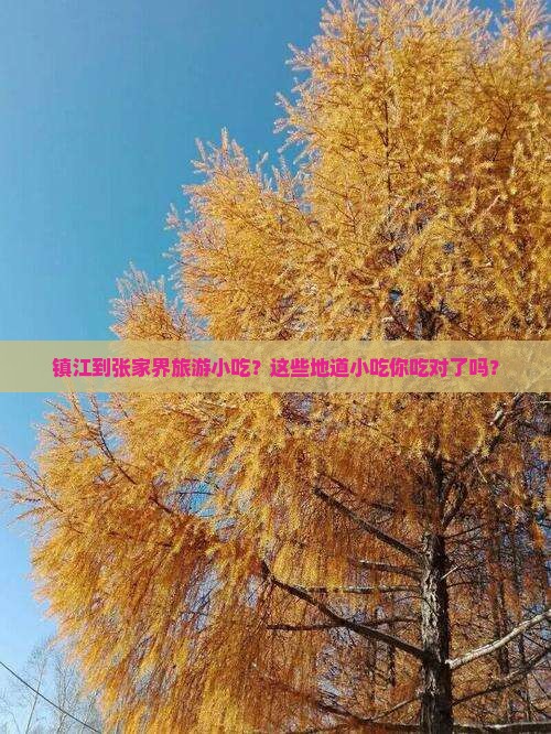 镇江到张家界旅游小吃