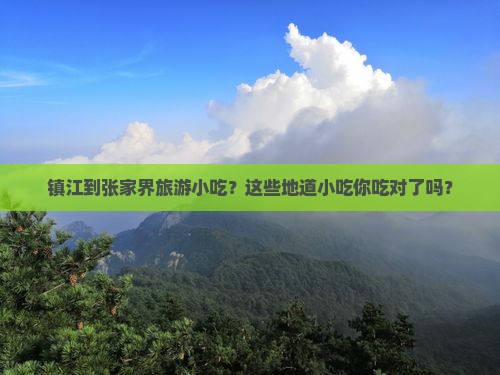 镇江到张家界旅游小吃