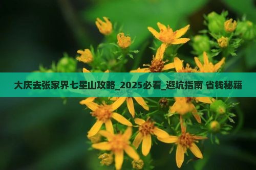 大庆去张家界七星山攻略