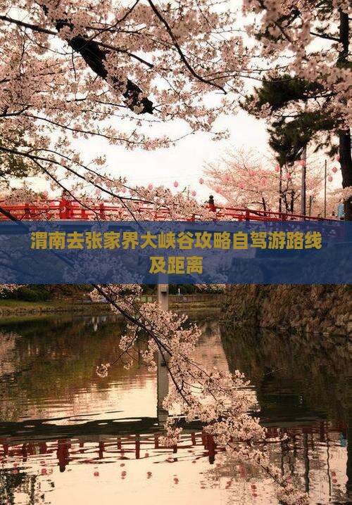 渭南去张家界大峡谷攻略