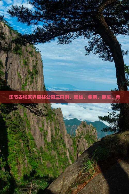 毕节去张家界森林公园三日游