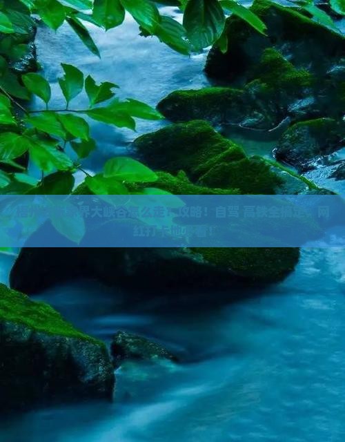 梧州去张家界大峡谷攻略