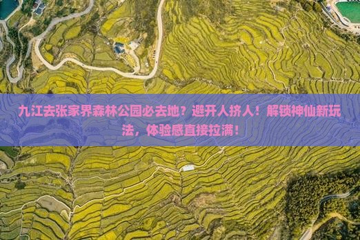 九江去张家界森林公园必去地