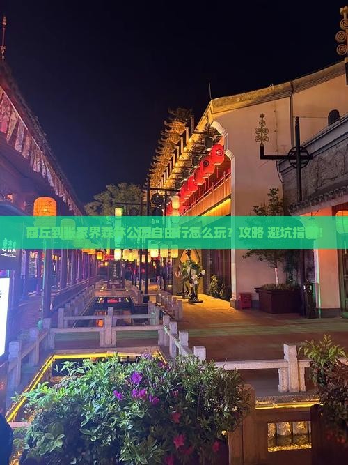 商丘到张家界森林公园自由行