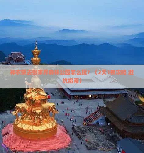 神农架去张家界森林公园门票