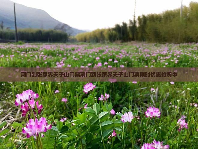 荆门到张家界天子山门票