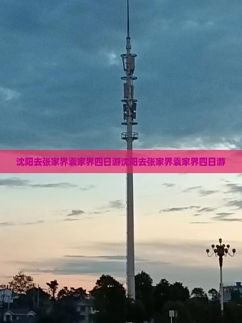 沈阳去张家界袁家界四日游