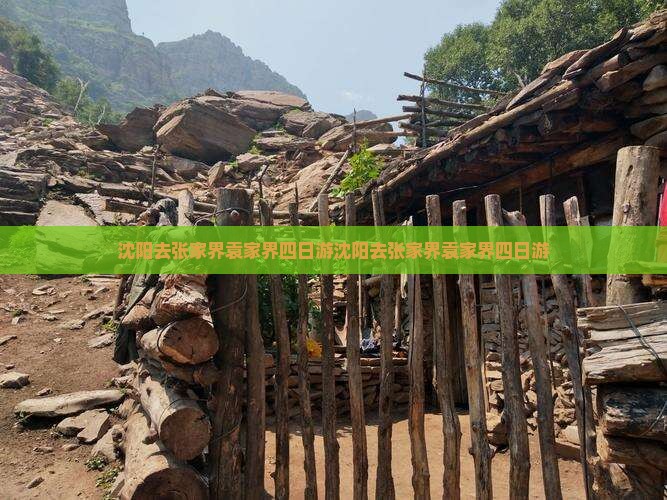 沈阳去张家界袁家界四日游
