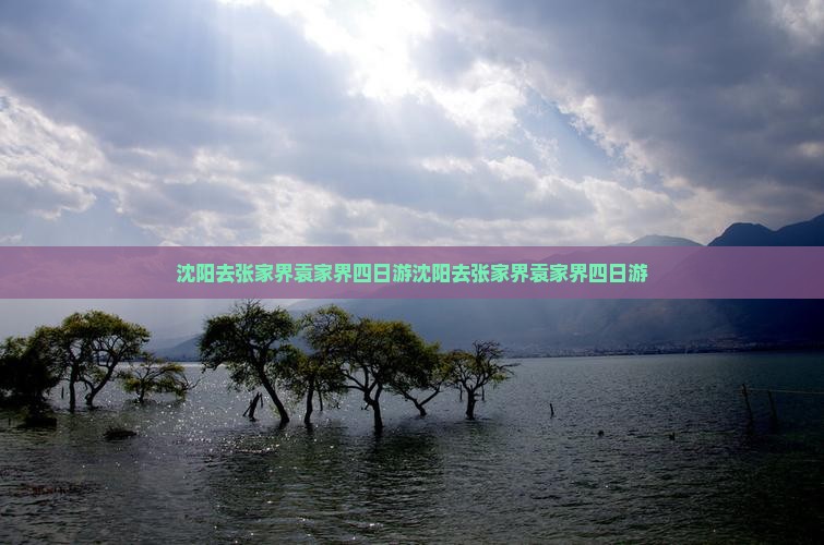 沈阳去张家界袁家界四日游
