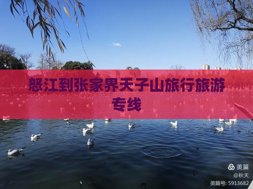 怒江到张家界天子山旅行社