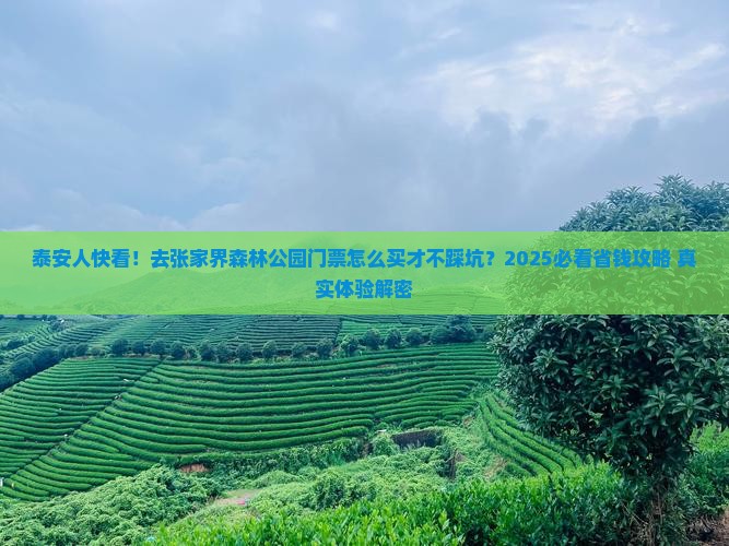 泰安去张家界森林公园门票