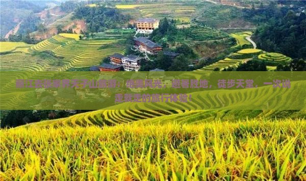 丽江去张家界天子山旅游