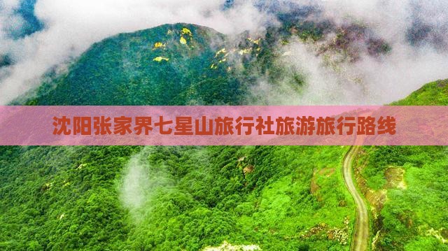 沈阳去张家界七星山旅行社