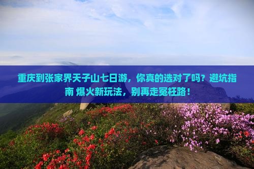 重庆到张家界天子山七日游