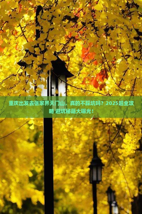 重庆去张家界天门山旅行社 重庆去张家界天门山旅行社