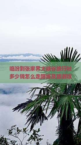 临汾到张家界大峡谷旅行社