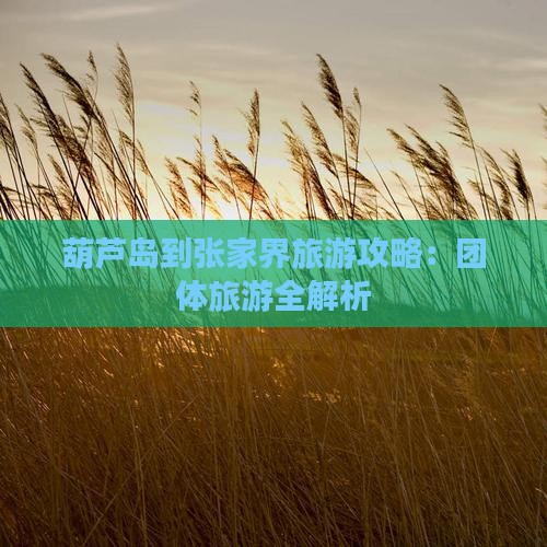 葫芦岛到张家界森林公园团体旅游