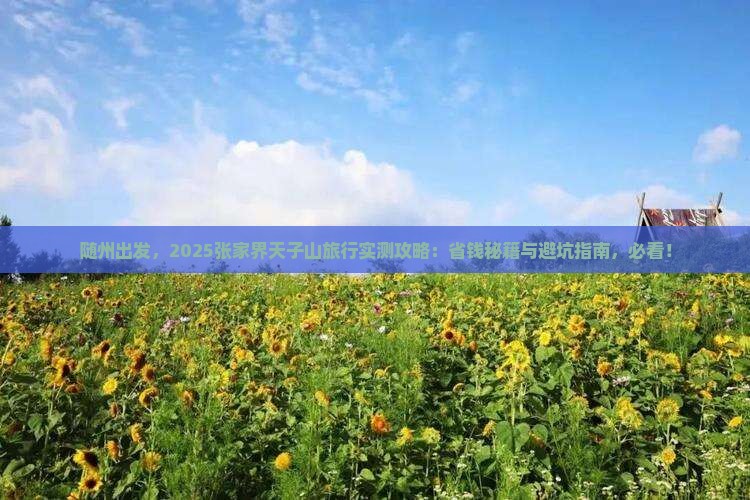 随州去张家界天子山攻略