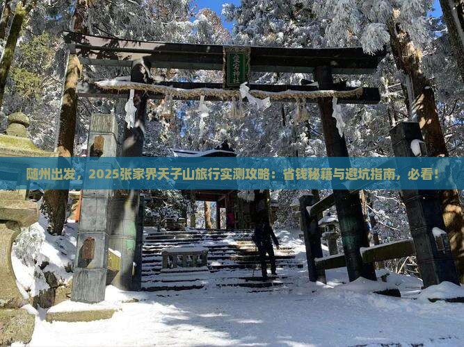 随州去张家界天子山攻略