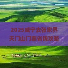 咸宁去张家界天门山门票