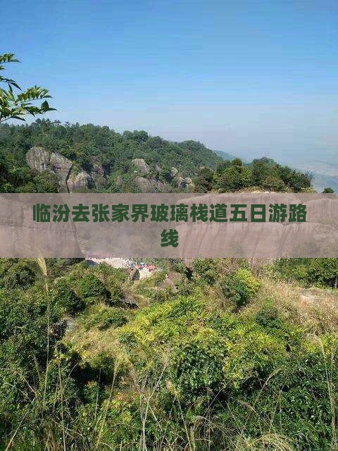 临汾去张家界玻璃栈道五日游