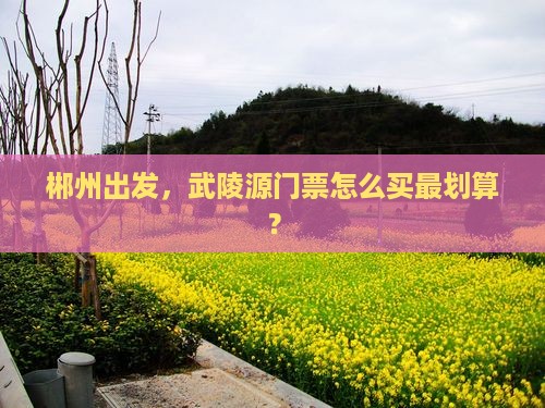 郴州到张家界武陵源门票