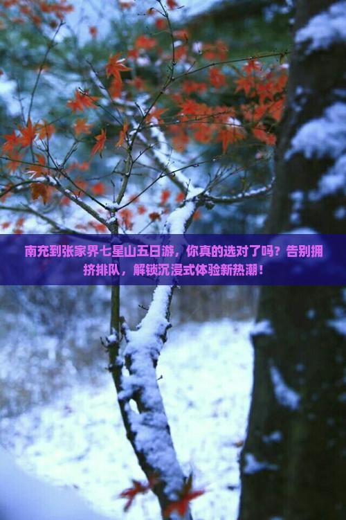 南充到张家界七星山五日游
