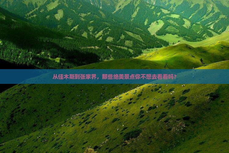 佳木斯到张家界景点