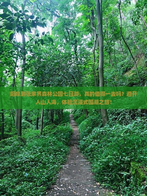 阳泉到张家界森林公园七日游