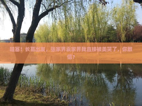长葛到张家界袁家界个人游