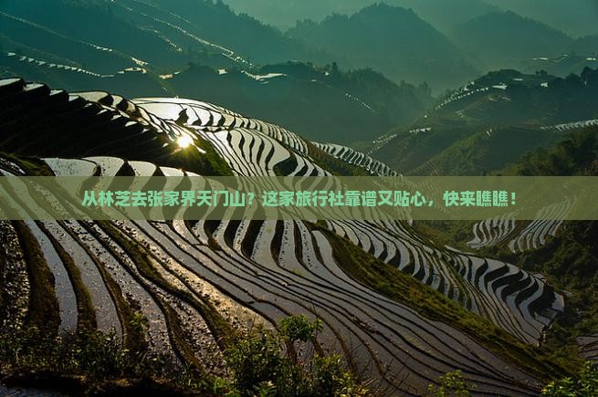 林芝到张家界天门山旅行社