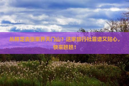 林芝到张家界天门山旅行社